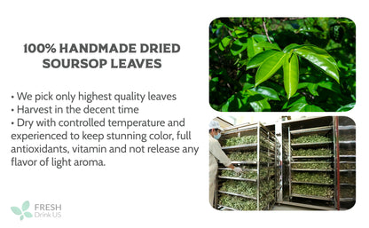 55+ Premium Soursop Graviola Dried Leaves, 55-60 Natural Leaves, Whole Soursop Leaves, Wildcrafted, Graviola, Soursop, Hoja Guanabana, Soursop Loose Leaf Herbal Tea, No Gluten, Vegan