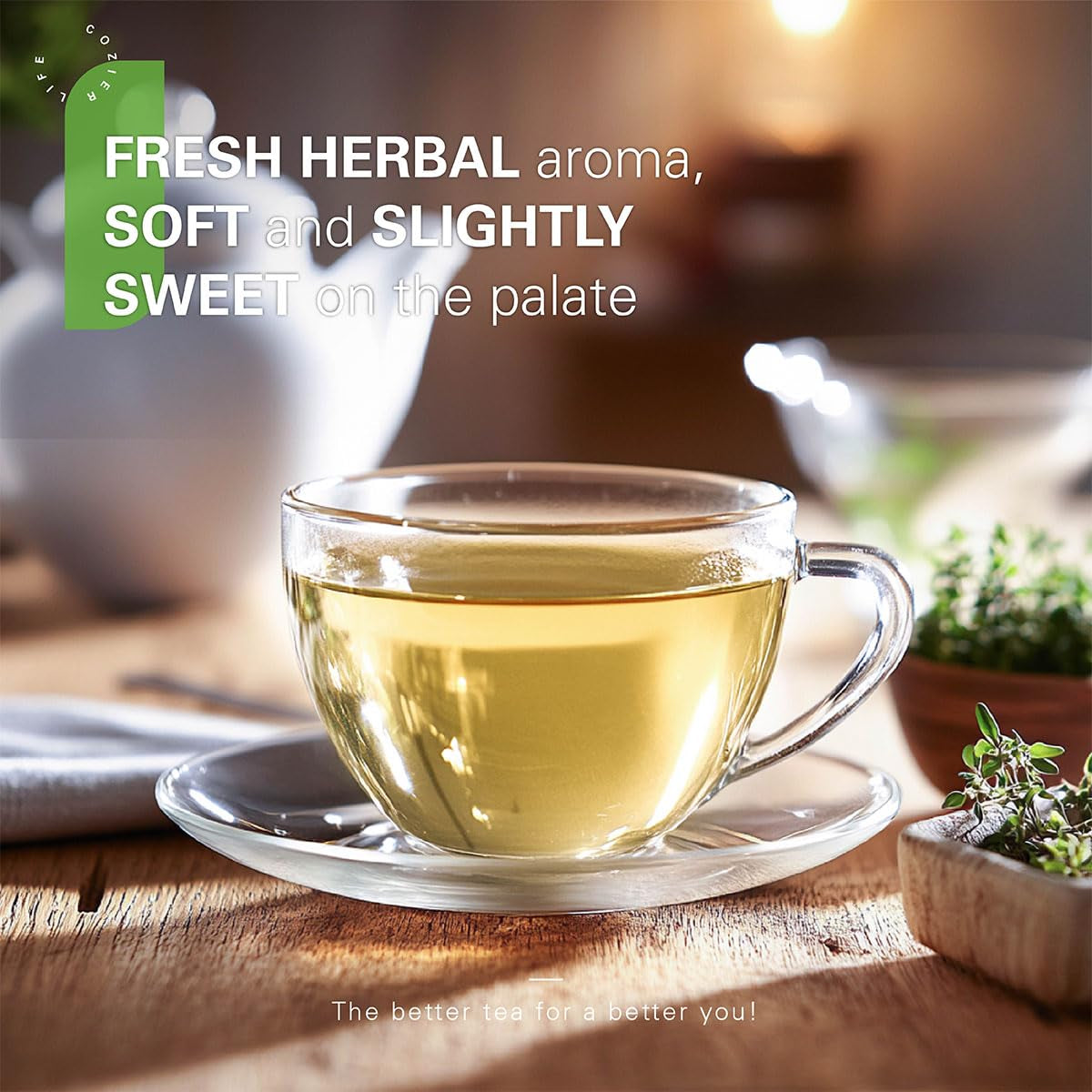 Soursop Leaves Tea Bags 50 Count, Made with 100% Pure Soursop Graviola/Guanabana Leaves, Natural Caffeine-Free Herbal Tea, Corn Fiber Tea Bags