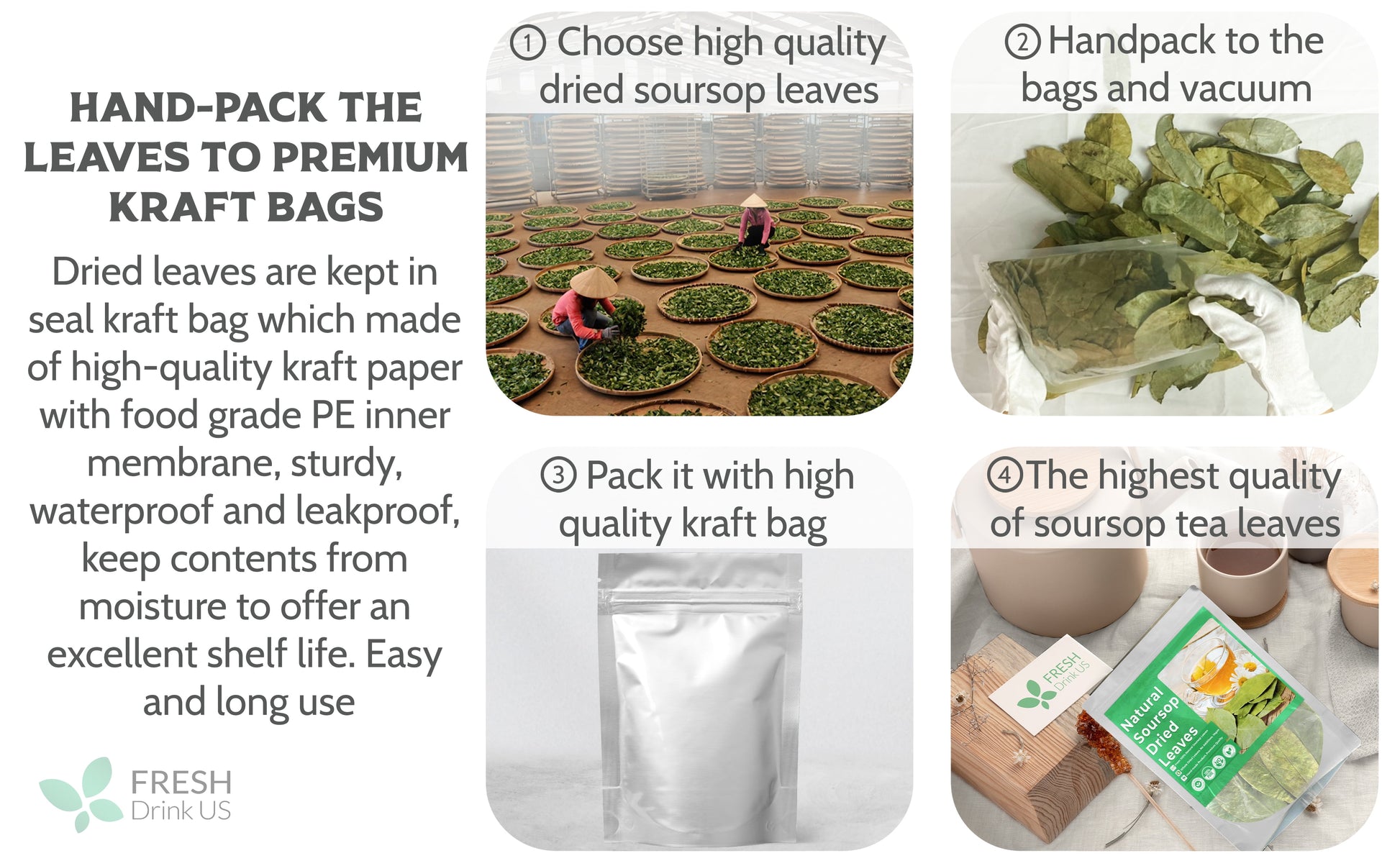 55+ Premium Soursop Graviola Dried Leaves, 55-60 Natural Leaves, Whole Soursop Leaves, Wildcrafted, Graviola, Soursop, Hoja Guanabana, Soursop Loose Leaf Herbal Tea, No Gluten, Vegan