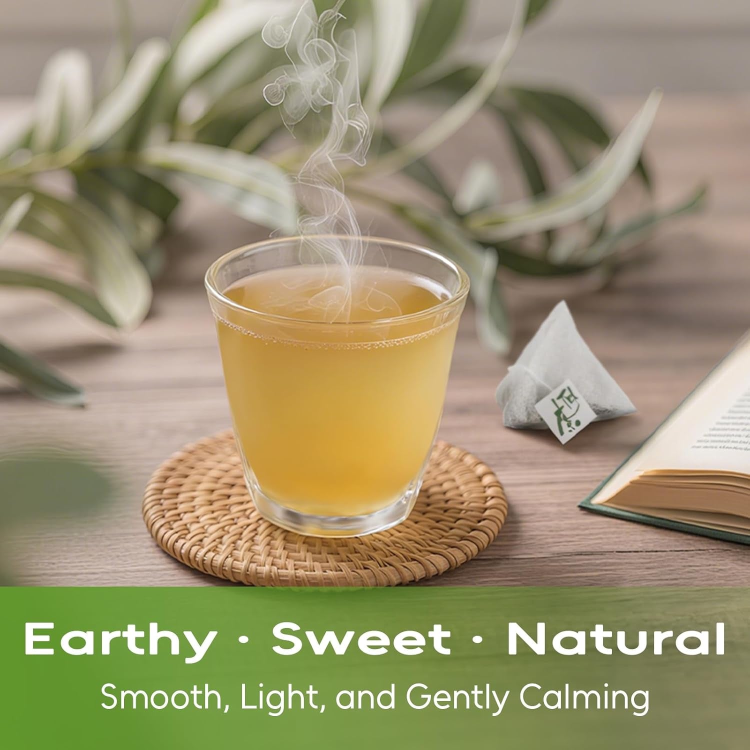 - Soursop Leaves Tea Bags, 40 Teabags - Premium Soursop Graviola Leaves - Hojas De Guanabana Tea - Non-Gmo - Caffeine-Free - Improve Digestion, Support Healthy Skin & Sleep