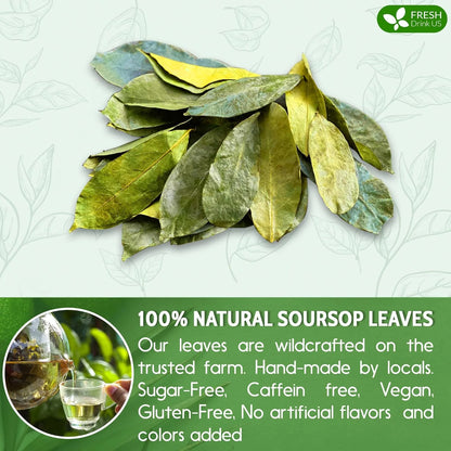 55+ Premium Soursop Graviola Dried Leaves, 55-60 Natural Leaves, Whole Soursop Leaves, Wildcrafted, Graviola, Soursop, Hoja Guanabana, Soursop Loose Leaf Herbal Tea, No Gluten, Vegan