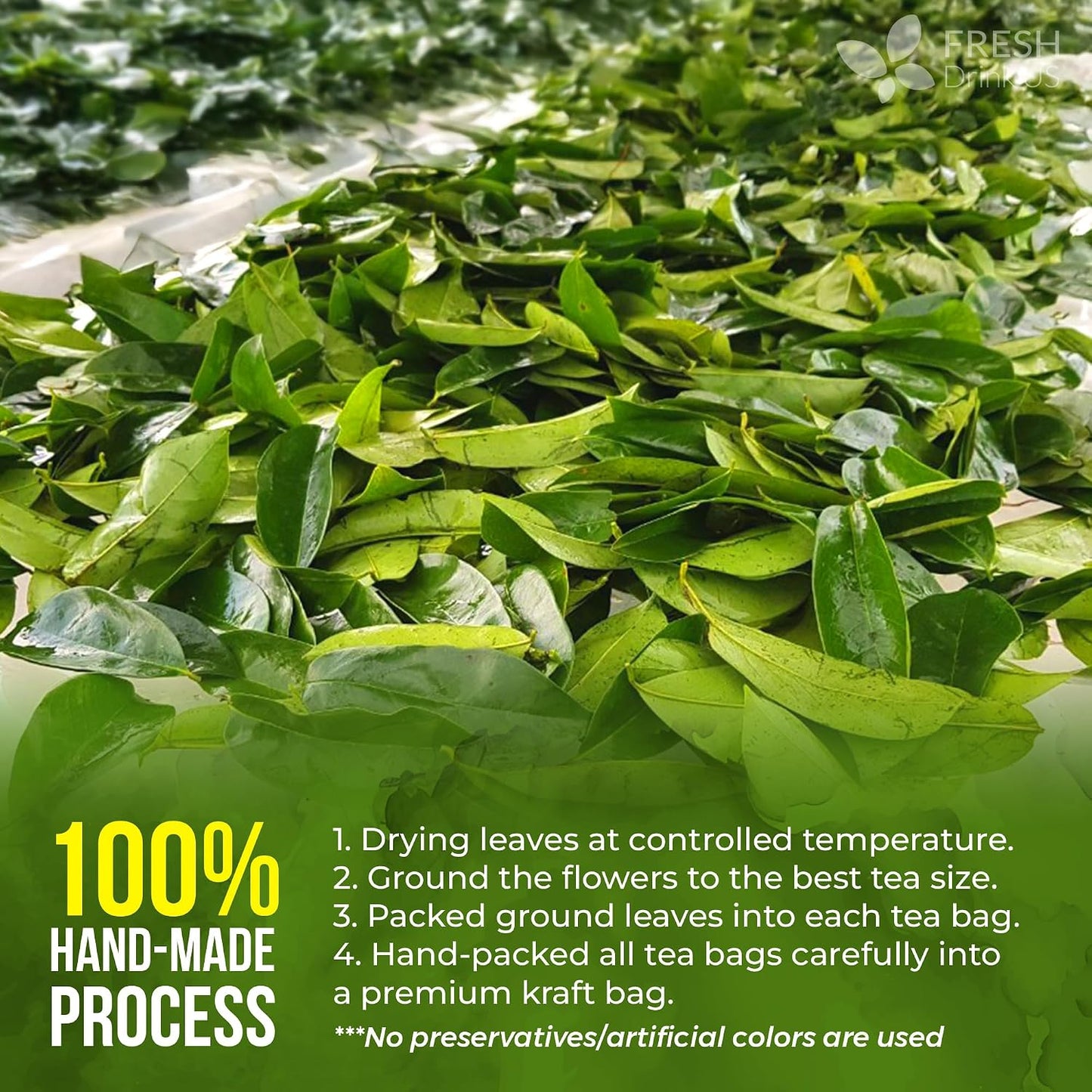, Premium 75 Soursop Graviola Leaf Tea Bags, 100% Natural and Pure from Soursop Leaves, Handmade, Made with Natural Materials-Corn Fiber Tea Bag, Sugar/ Caffeine/ Gluten Free, Hoja Guanabana Tea