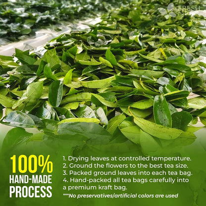 , Premium 75 Soursop Graviola Leaf Tea Bags, 100% Natural and Pure from Soursop Leaves, Handmade, Made with Natural Materials-Corn Fiber Tea Bag, Sugar/ Caffeine/ Gluten Free, Hoja Guanabana Tea