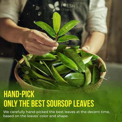 , Premium 75 Soursop Graviola Leaf Tea Bags, 100% Natural and Pure from Soursop Leaves, Handmade, Made with Natural Materials-Corn Fiber Tea Bag, Sugar/ Caffeine/ Gluten Free, Hoja Guanabana Tea