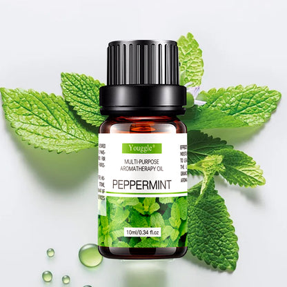 Mint Essential Oil Aromatherapy Essential Oil Car Water-soluble Essential Oil Humidifier Aromatherapy In Stock