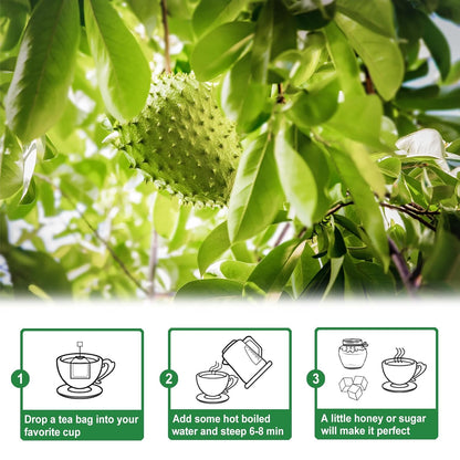- Soursop Leaves Tea - 1.5G X 50 Count - 100% Pure Soursop Graviola Leaves Tea Bag - Country of Origin Thailand - Support Digestion & Rich in Nutrients