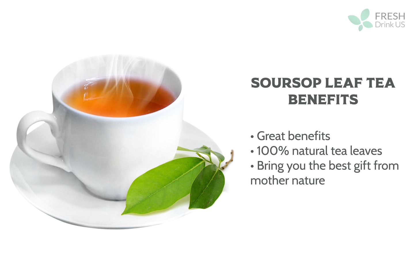55+ Premium Soursop Graviola Dried Leaves, 55-60 Natural Leaves, Whole Soursop Leaves, Wildcrafted, Graviola, Soursop, Hoja Guanabana, Soursop Loose Leaf Herbal Tea, No Gluten, Vegan