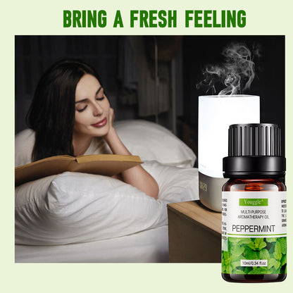 Mint Essential Oil Aromatherapy Essential Oil Car Water-soluble Essential Oil Humidifier Aromatherapy In Stock